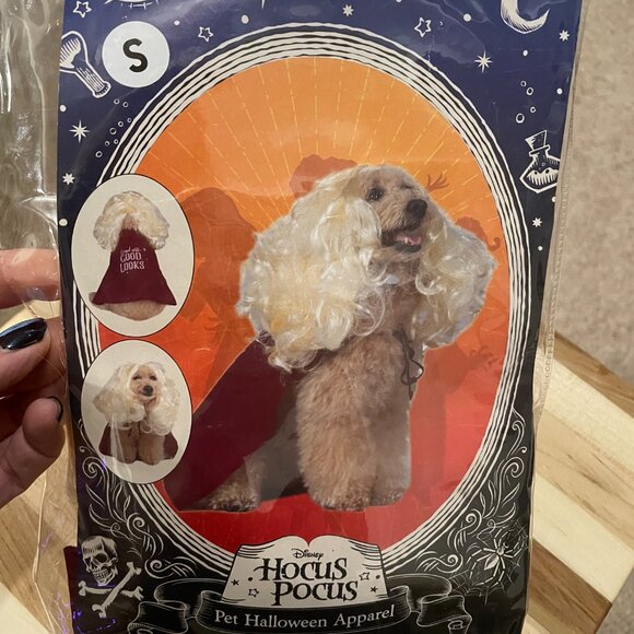 Hocus Pocus Halloween & Party Costume of Sarah Sanderson! Size Small NWT - Picture 2 of 6